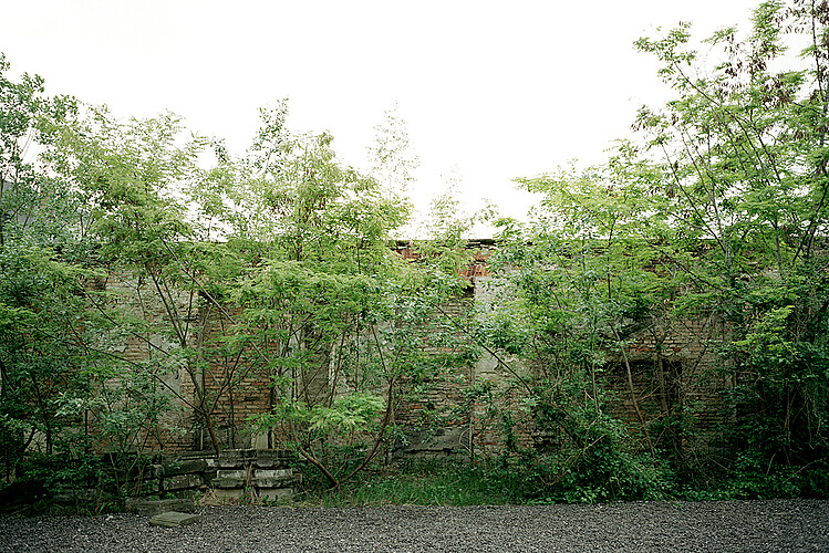 Garten, Land, Architektur, Le Balto, Tafelgarten, Tafel-Garten, Landschaftsarchtitektur, wo ist der der garten, woistdergarten?, Stadt, Berlin, Invalidenstrasse 50-51, Hamburger Bahnhof, Lehrter Bahnhof, Grün, Pflanzen, Grünpflanzen, Baum, Bäume