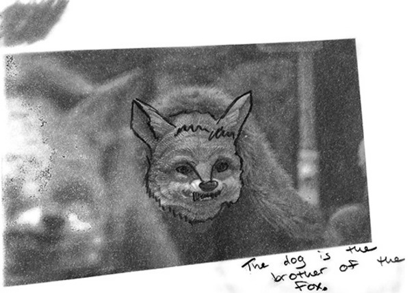 Schwarzweißfotografie mit Zeichnung Fuchs