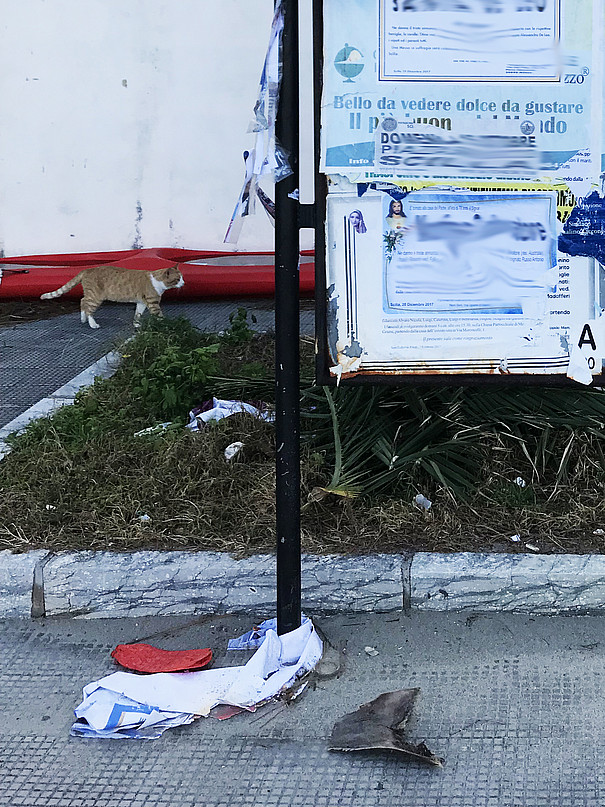 Foto: Graduiertenschule Katze Boot Trash Schild