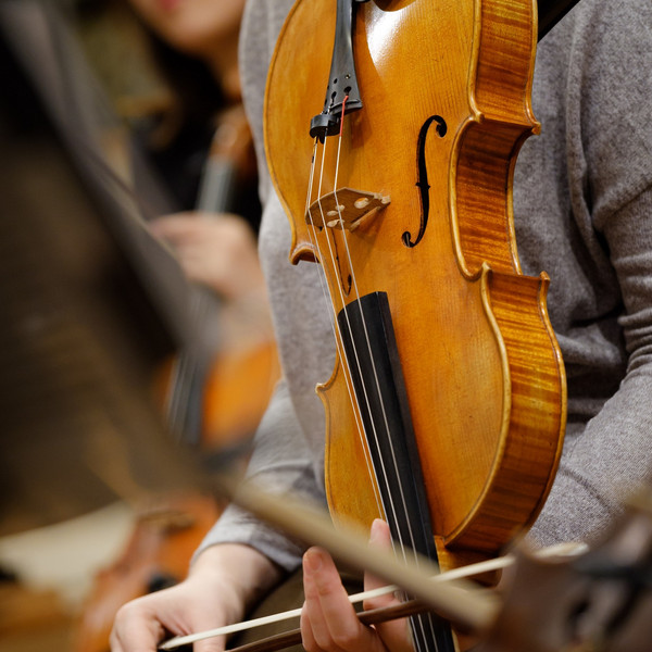 Eine Violine.