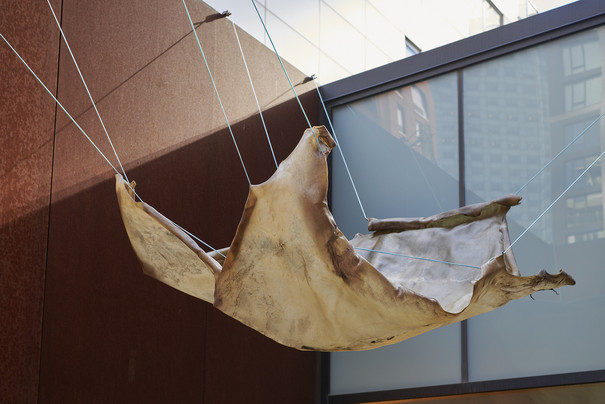 Kunstwerk aus Rohleder schwebt in der Luft
