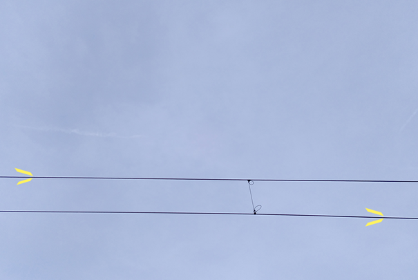 zwei Stromleitungen mit Verbindung vor Himmel