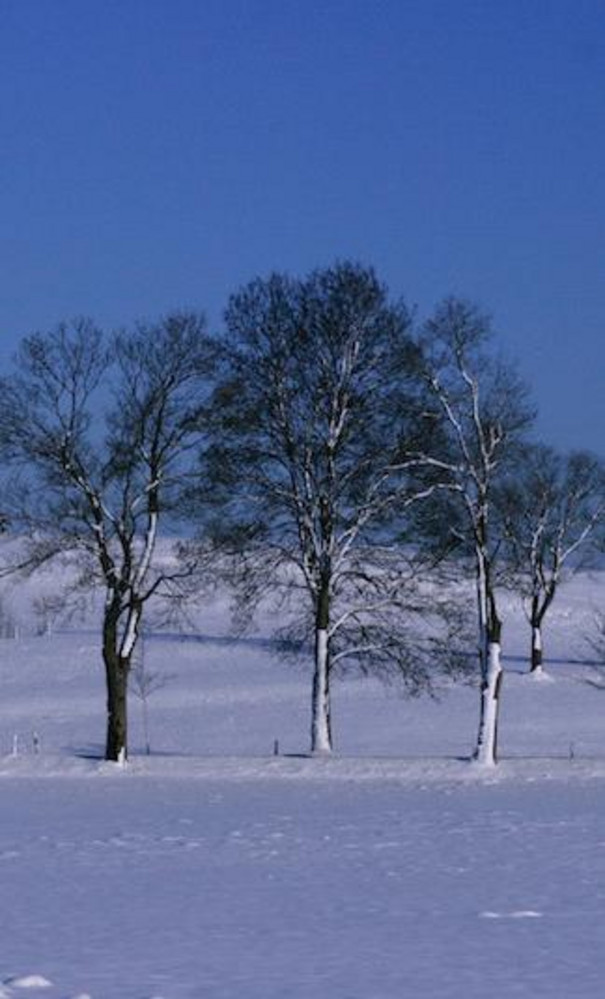 Foto: Wolfgang Loos