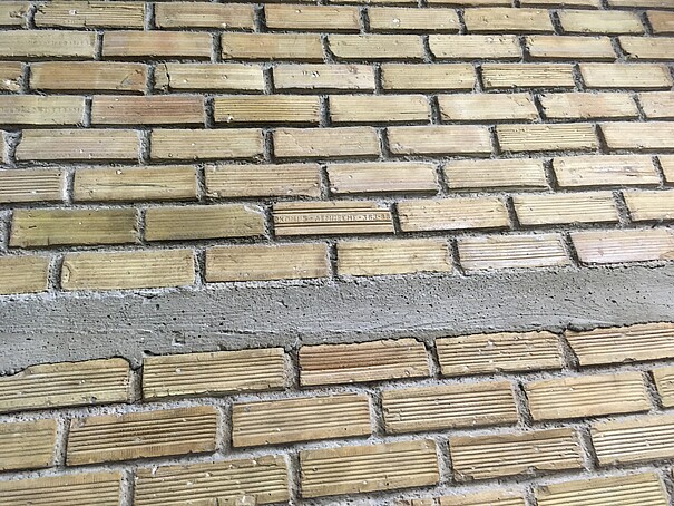 Foto: mn