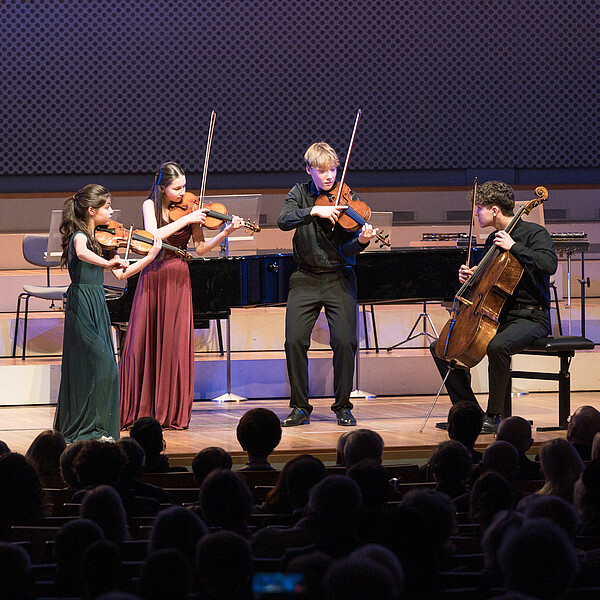 Stern Chamber Music Project