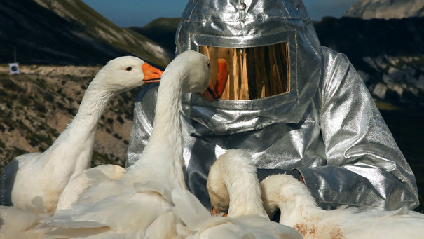 Geese surrounding an astronaut in a lunarscape.