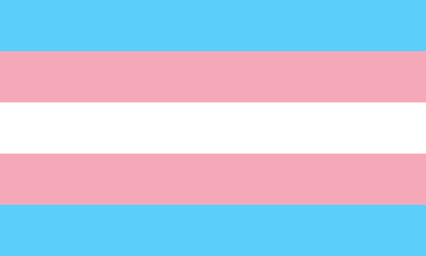 Transgender Pride Flag von Monica Helms 1999 Foto: Monica Helms