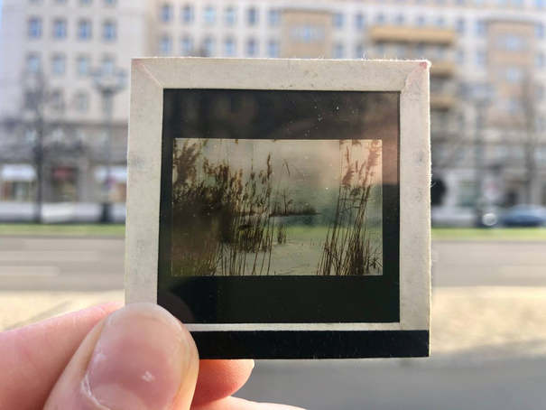A picture showing the view from the side of a lake is held the blurred facades of a Berlin street.