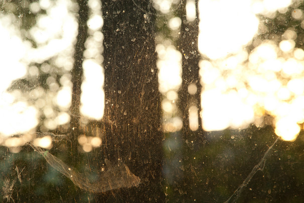 View through glass