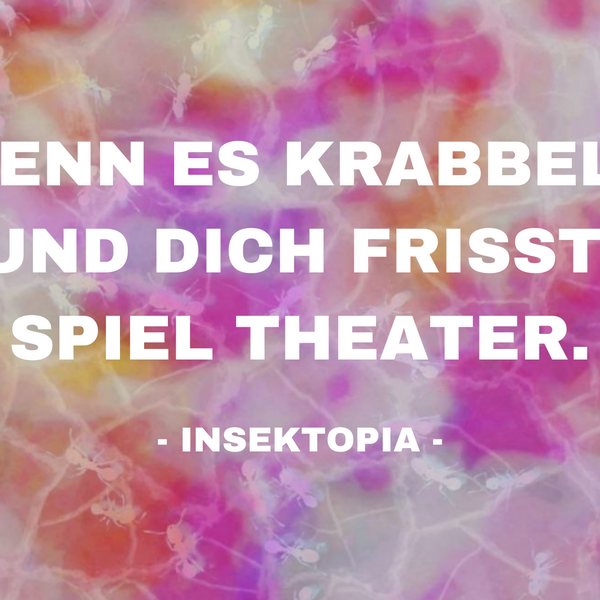 FEST SPIELE Postkarte - 4_INSEKTOPIA_Postkarte_CR_NhuLuu