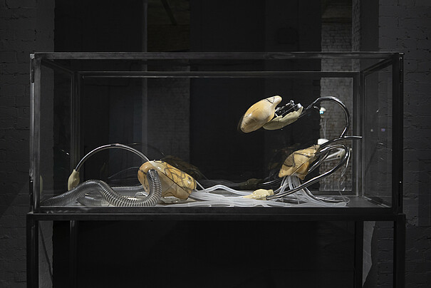 [Translate to English:]