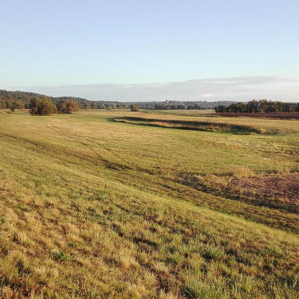 Landschaftsimpression vom Gut Stolzenhagen mit Blick auf ein weites Feld