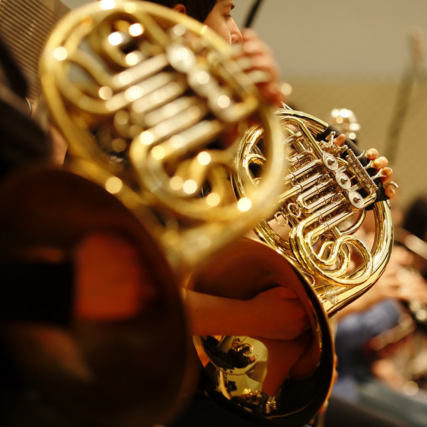 Horn