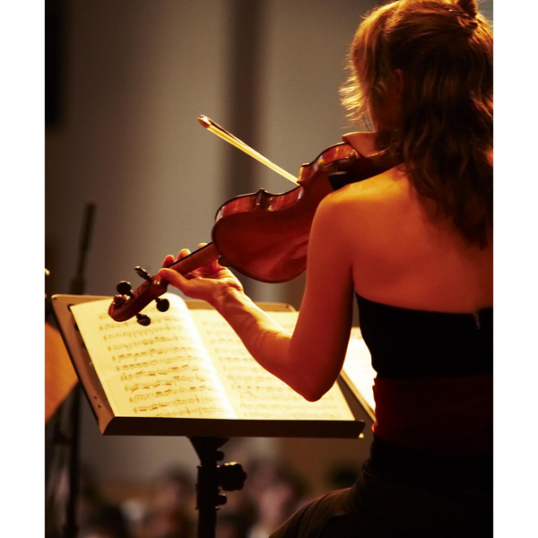 Eine Violine.