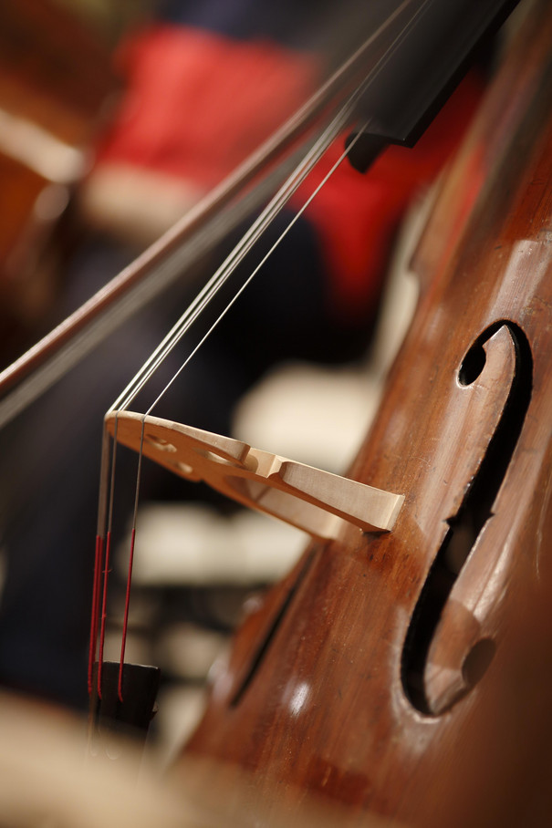 Foto: Matthias Heyde Ein Cello
