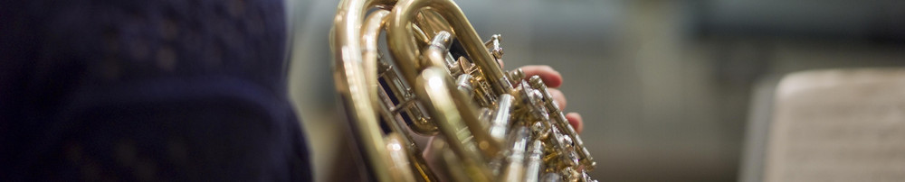 Ein Horn.