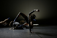 Biennale Tanzausbildung