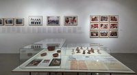 Exhibits of Tanja Ostojić at an exhibition space
