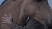 Human hugs horse.