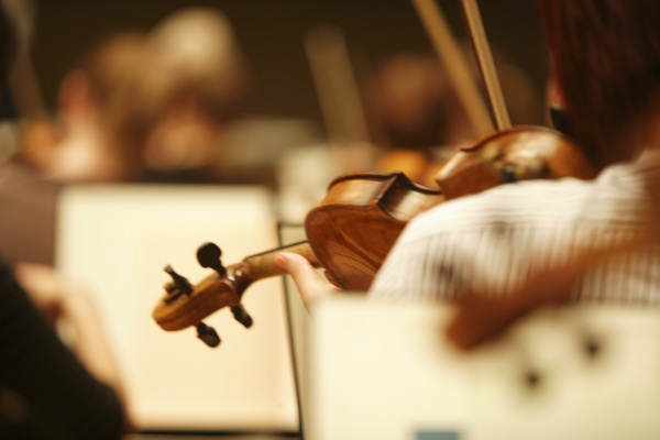 Teilansicht einer Violine
