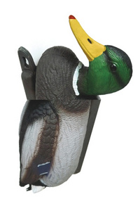Cover der Publikation "No New Kind of Duck", die eine schräge surrealistische Ente zeigt.